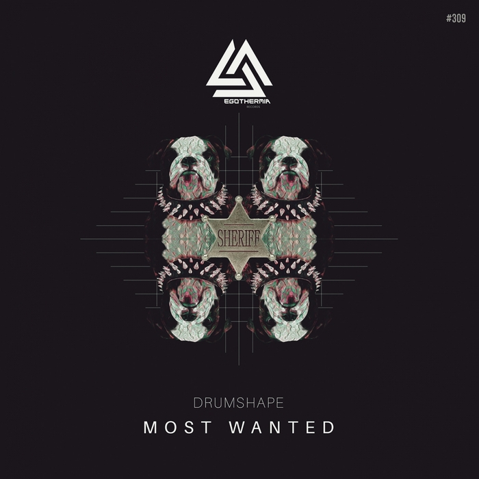 DRUMSHAPE - Most Wanted