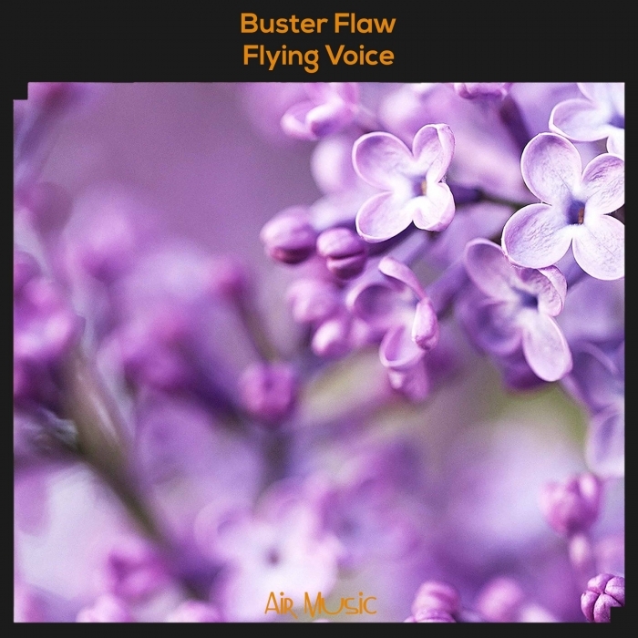 BUSTER FLAW - Flying Voice