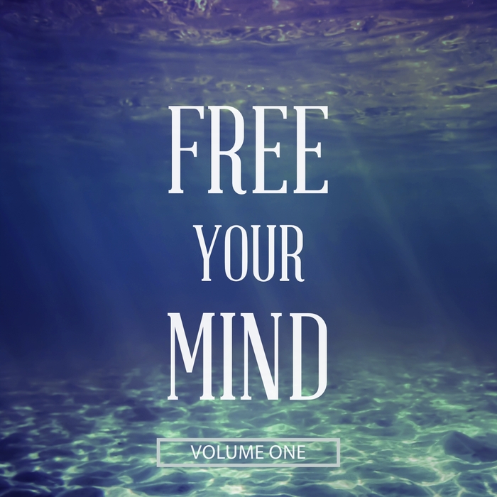 VARIOUS - Free Your Mind, Vol 1 (Finest Sit Down & Relax Music)