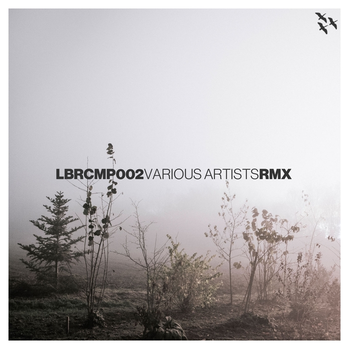 VARIOUS - LBRCMP002 (The Remixes)