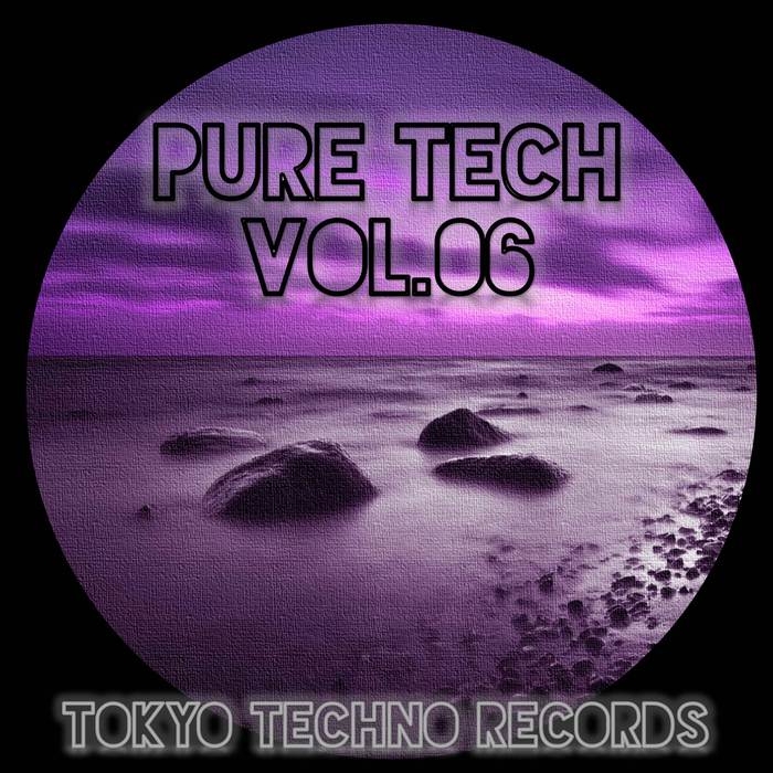 VARIOUS - Pure Tech Vol 06
