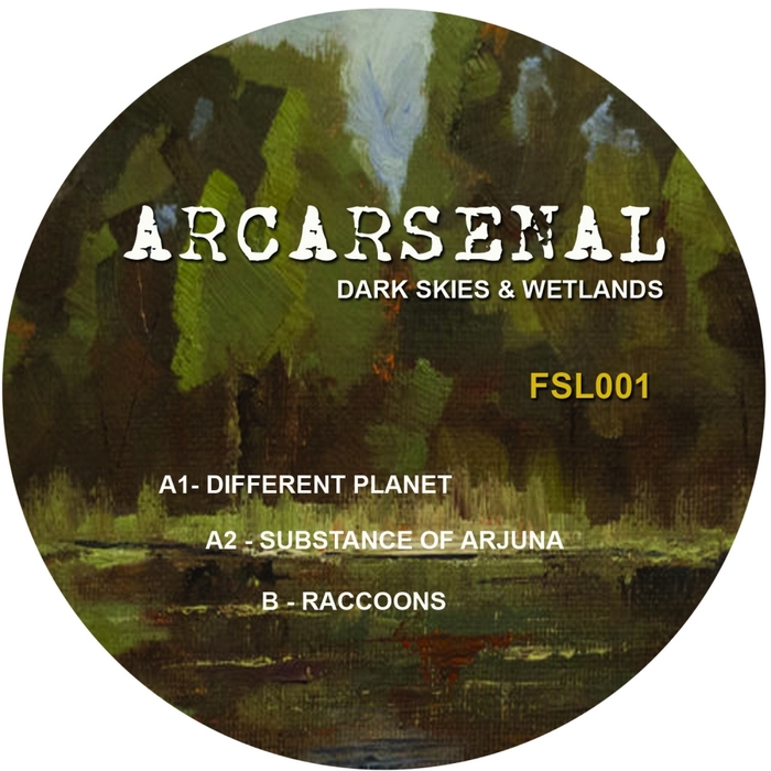 ARCARSENAL - Dark Skies & Wetlands