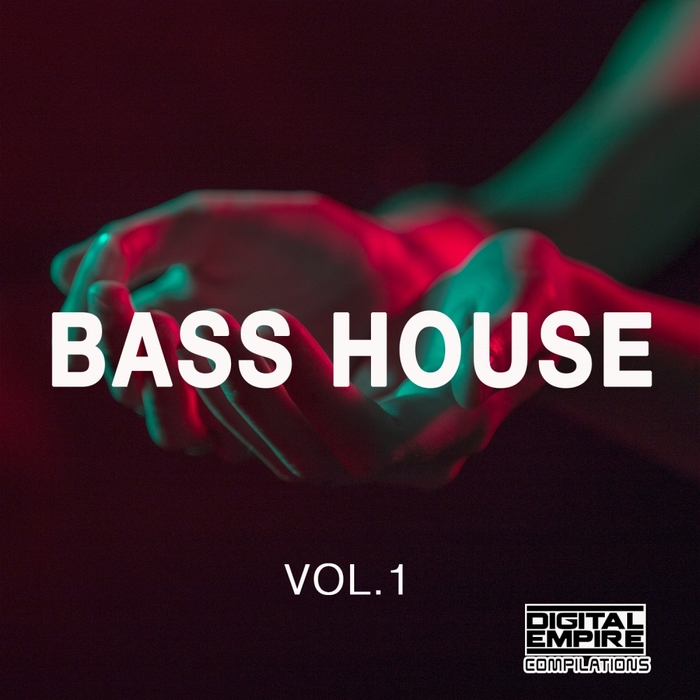 Bass house 2024. Bass House. Bass House обложка. Bass House надпись. Bass House Remix.