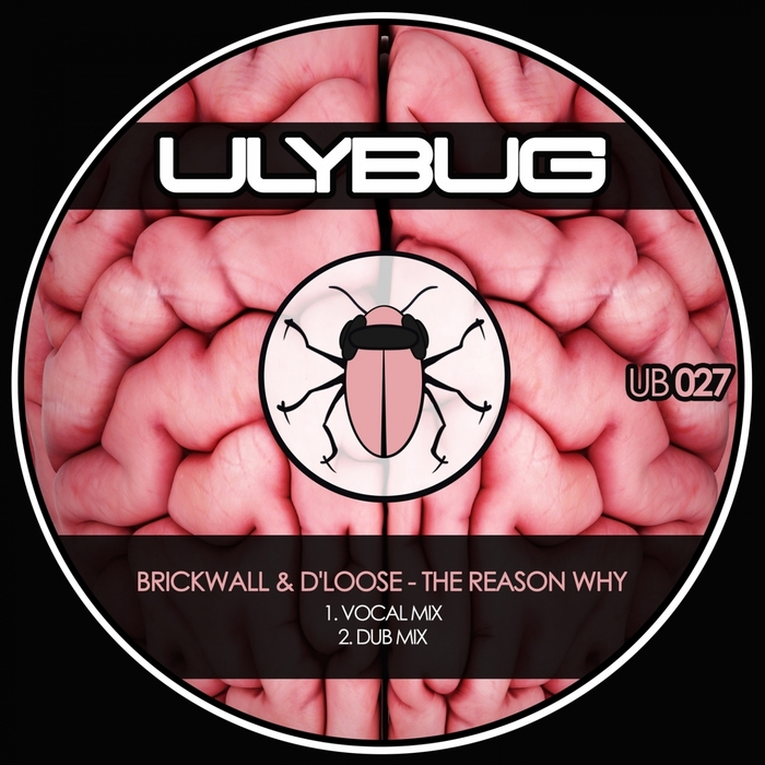 D'LOOSE/BRICKWALL - The Reason Why