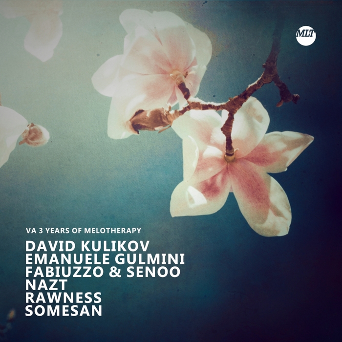 DAVID KULIKOV/EMANUELE GULMINI/FABIUZZO/SENOO/NAZT/RAWNESS/SOMESAN - 3 Years Of Melotherapy