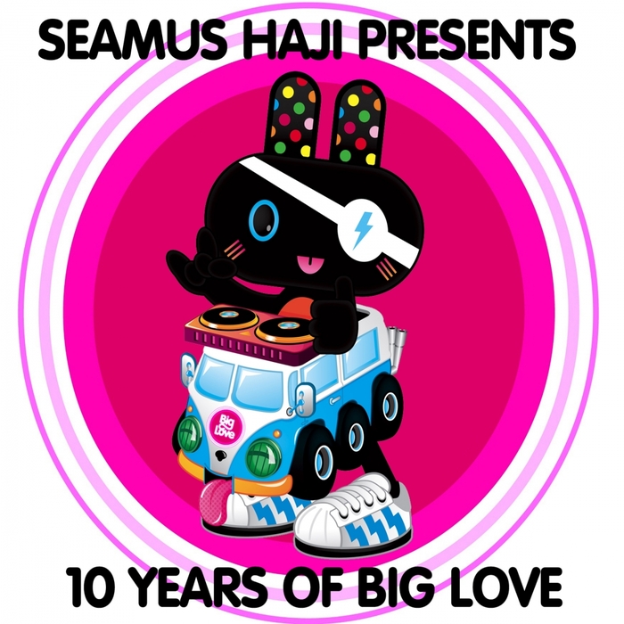 SEAMUS HAJI/VARIOUS - Seamus Haji Presents 10 Years Of Big Love (unmixed tracks)