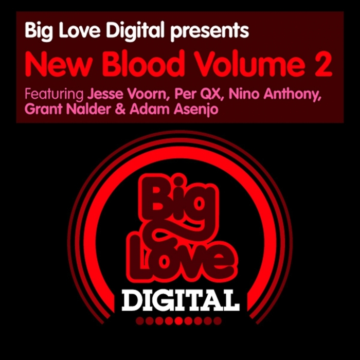 PER QX/NINO ANTHONY/JESSE VOORN/GRANT NALDER/ADAM ASENJO - Big Love Digital Presents New Blood Vol 2