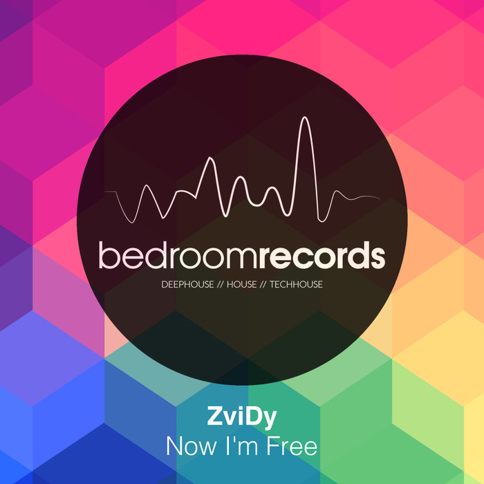 ZVIDY - Now I'm Free