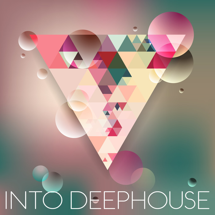 VARIOUS - Into Deephouse