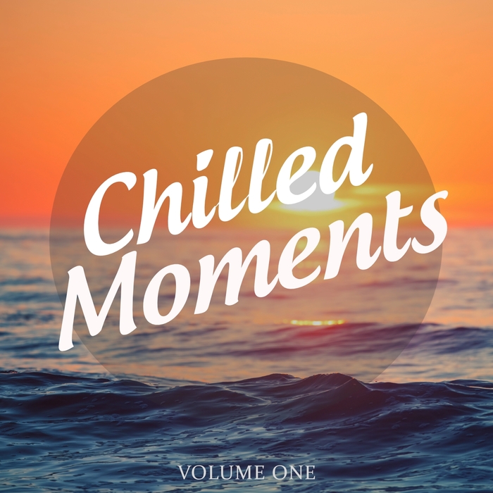 VARIOUS - Chilled Moments Vol 1: Collection Of Super Smooth Electronica
