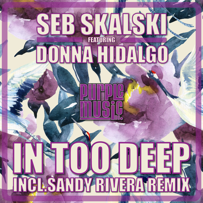 SEB SKALSKI feat DONNA HIDALGO - In Too Deep