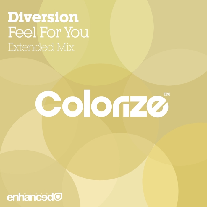 DIVERSION - Feel For You