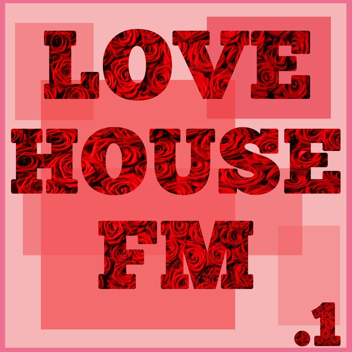 VARIOUS - Love House FM Vol 1