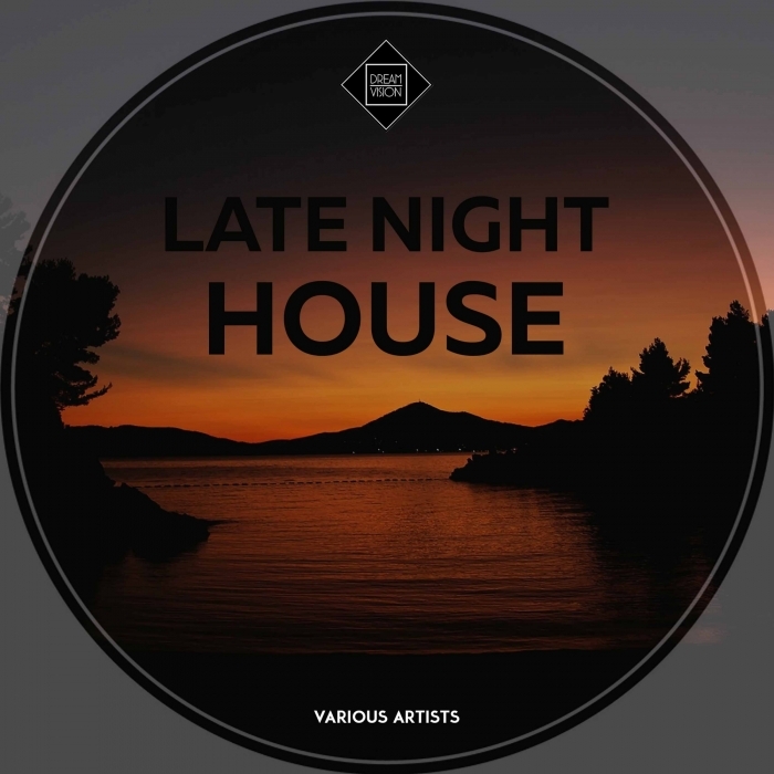 VARIOUS - Late Night House