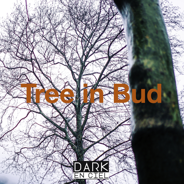 DARK EN CIEL - Tree In Bud