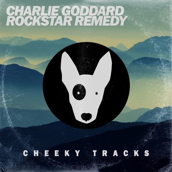 Rockstar Remedy by Charlie Goddard on MP3, WAV, FLAC, AIFF & ALAC at ...