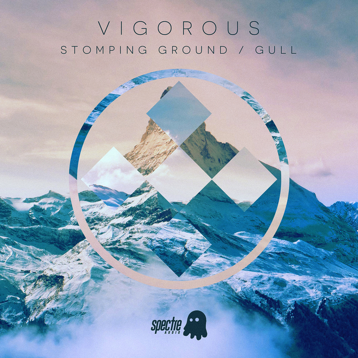 VIGOROUS - Stomping Ground/Gull