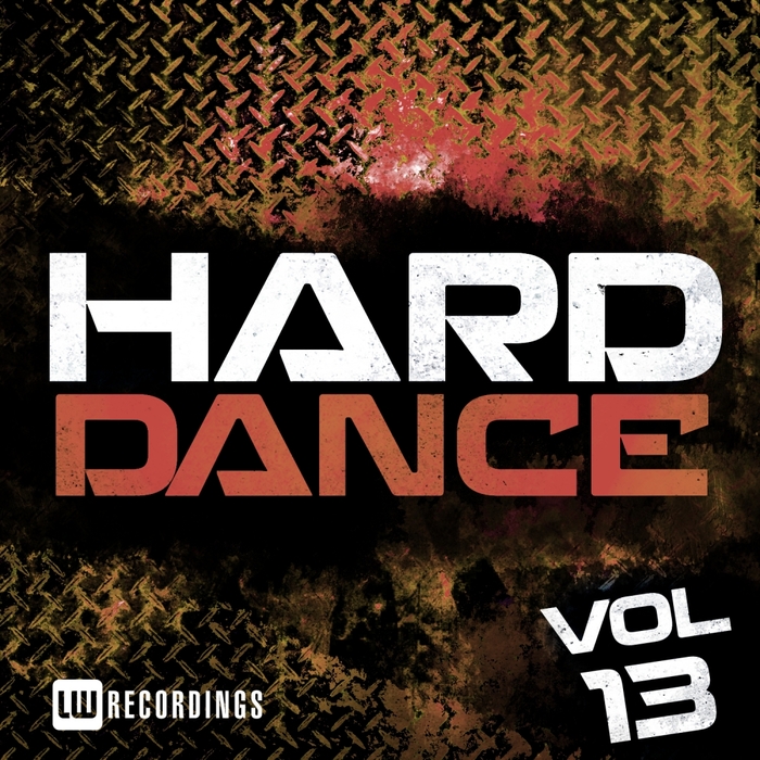 VARIOUS - Hard Dance Vol 13