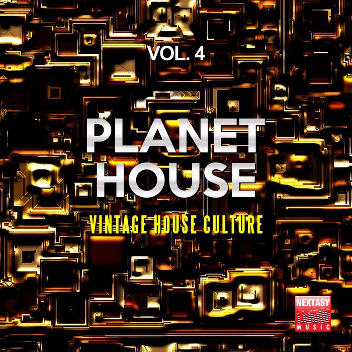 VARIOUS - Planet House Vol 4 (Vintage House Culture)