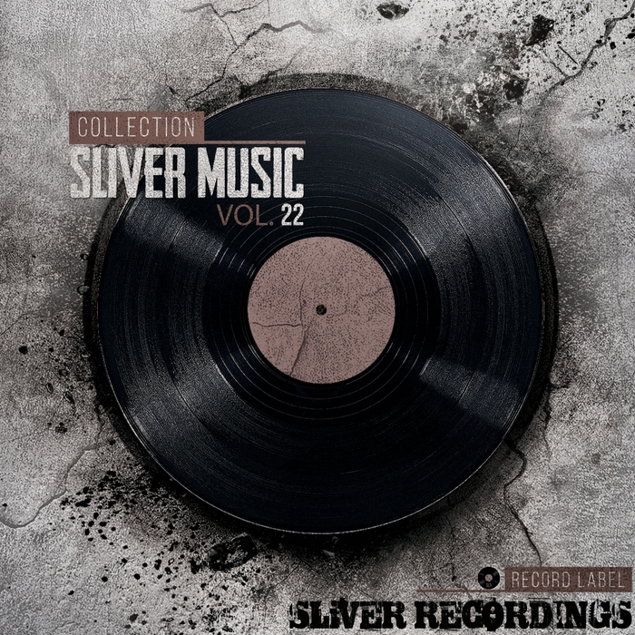 VARIOUS - SLiVER Music Collection Vol 22