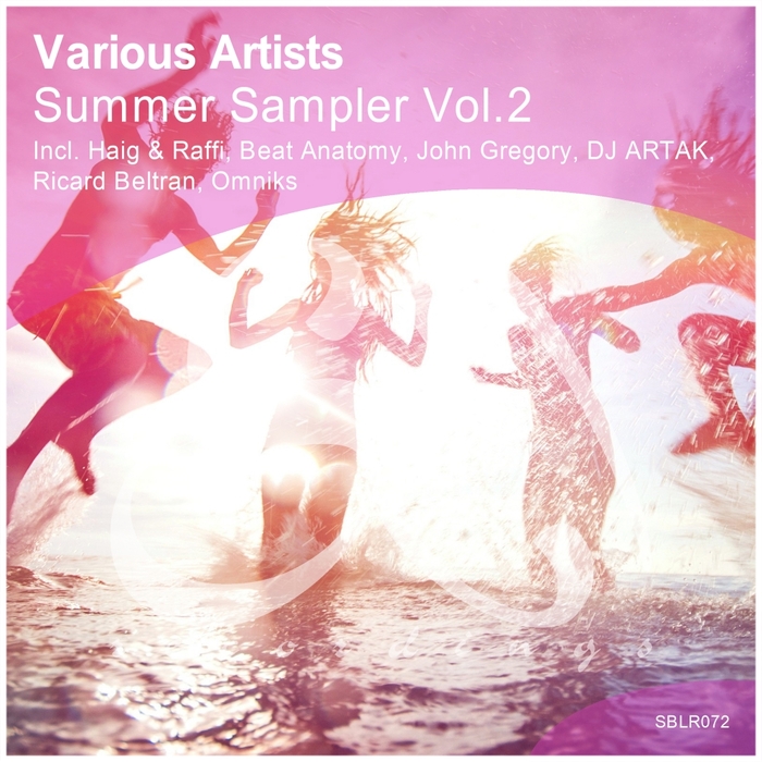 HAIG & RAFFI/DJ ARTAK/BEAT ANATOMY/OMNIKS - Summer Sampler Vol 2