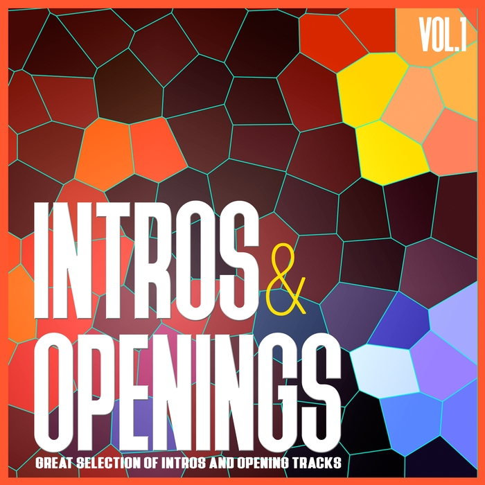 VARIOUS - Intros & Openings Vol 1 (Great Selection Of Intros & Opening Tracks)