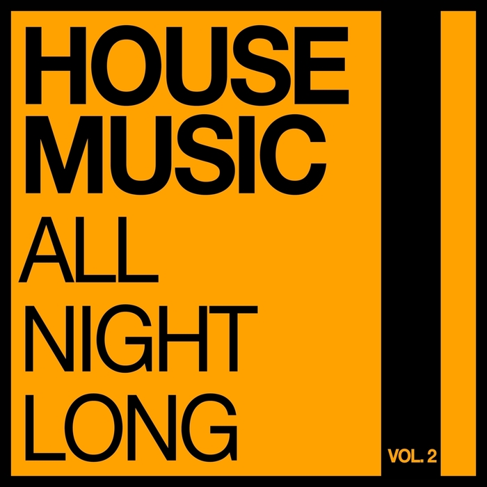 VARIOUS - House Music All Night Long Vol 2