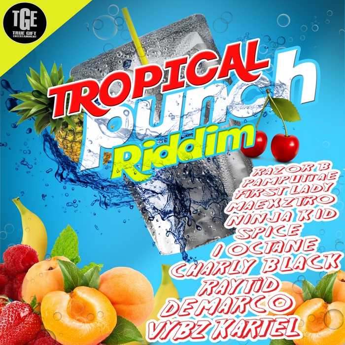 VARIOUS - Tropical Punch Riddim