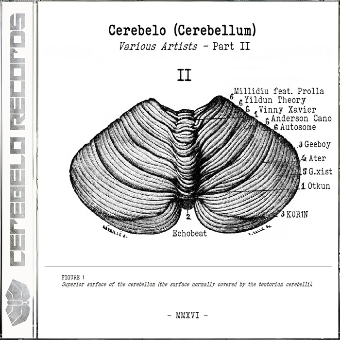 VARIOUS - Cerebelo Records 2016 Vol 2