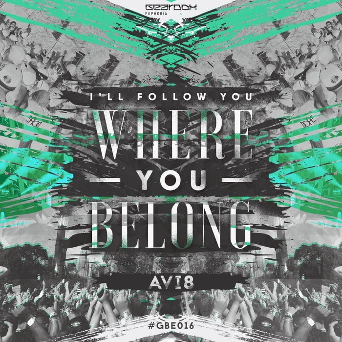 AVI8 - Where You Belong