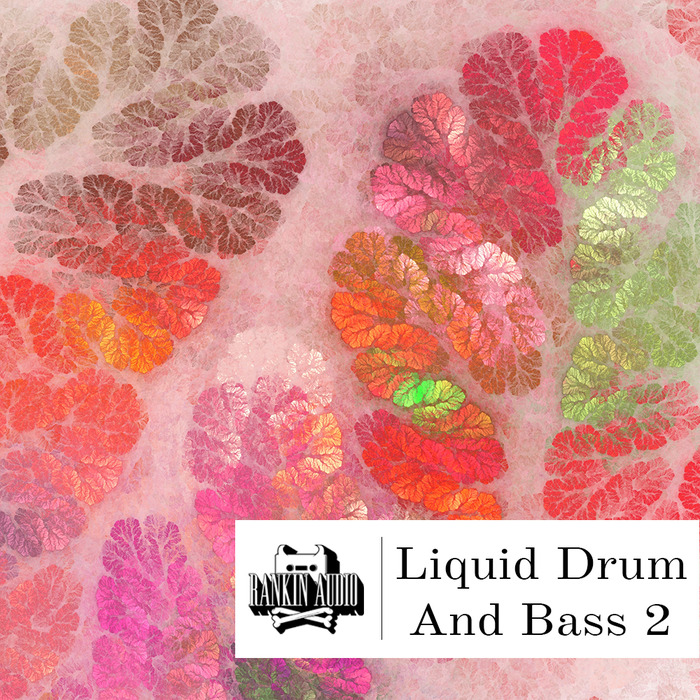 RANKIN AUDIO - Liquid Drum & Bass Vol 2 (Sample Pack WAV)