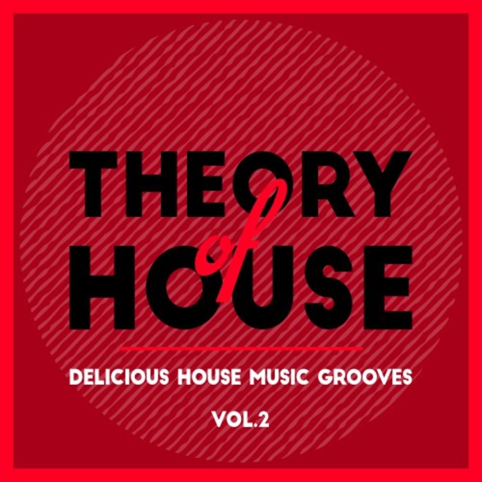 VARIOUS - Theory Of House (Delicious House Music Grooves) Vol 2