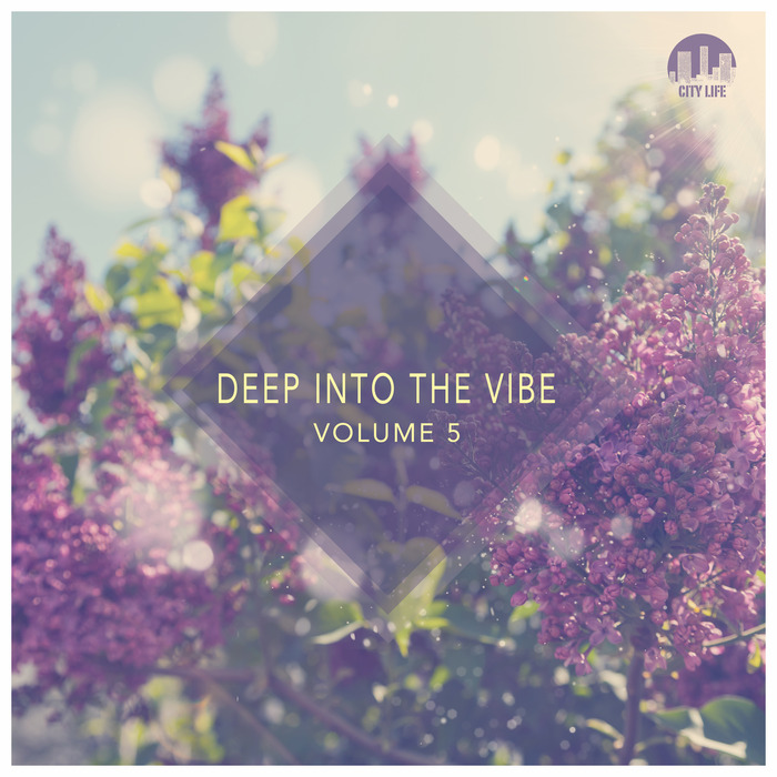 VARIOUS - Deep Into The Vibe Vol 5