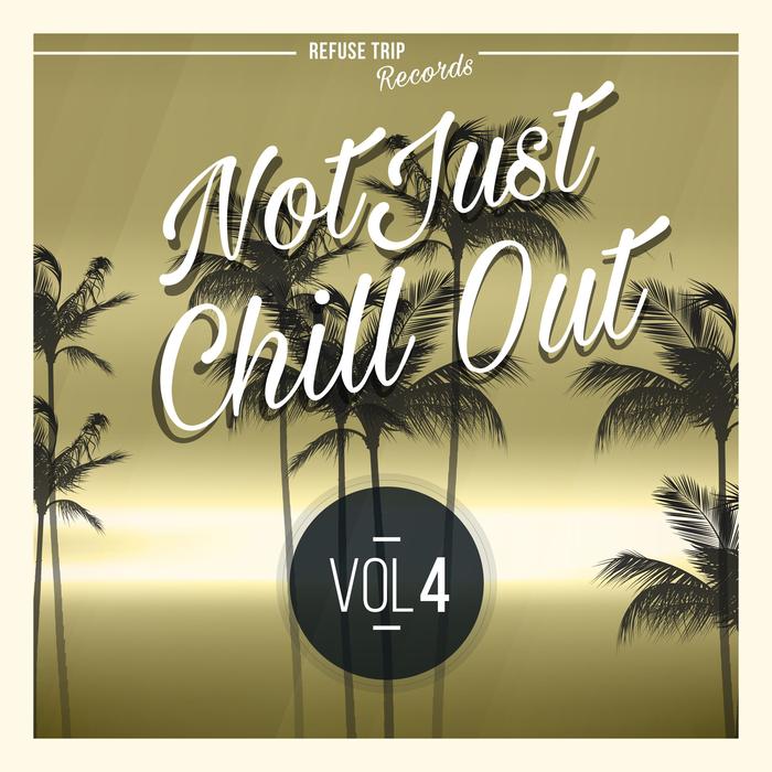 VARIOUS - Not Just Chill Out Vol 4