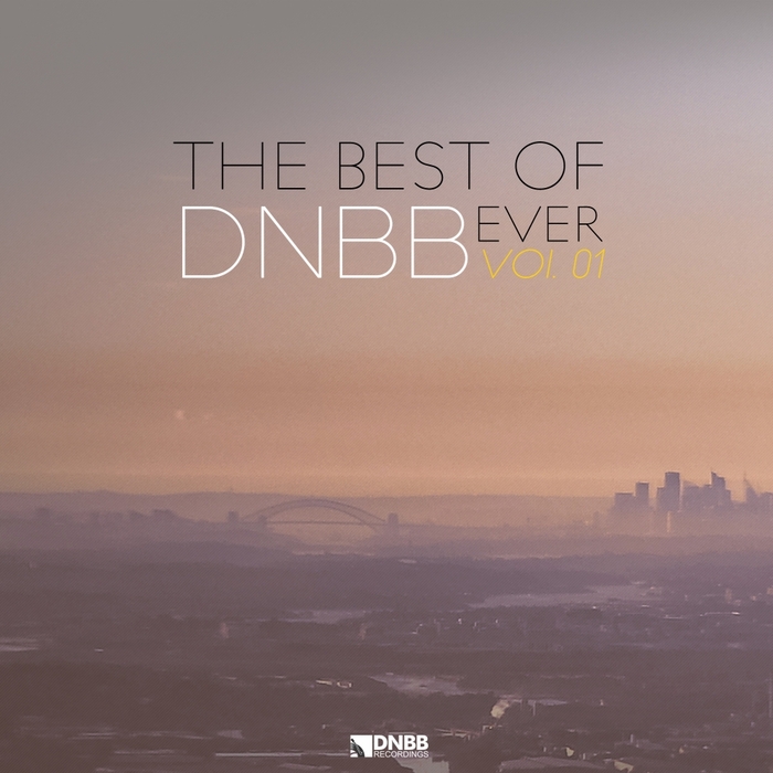 VARIOUS - The Best Of DNBB Ever Vol 01