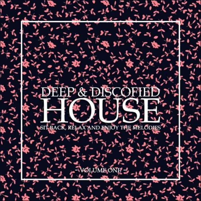 VARIOUS - Deep & Discofied House Vol 1