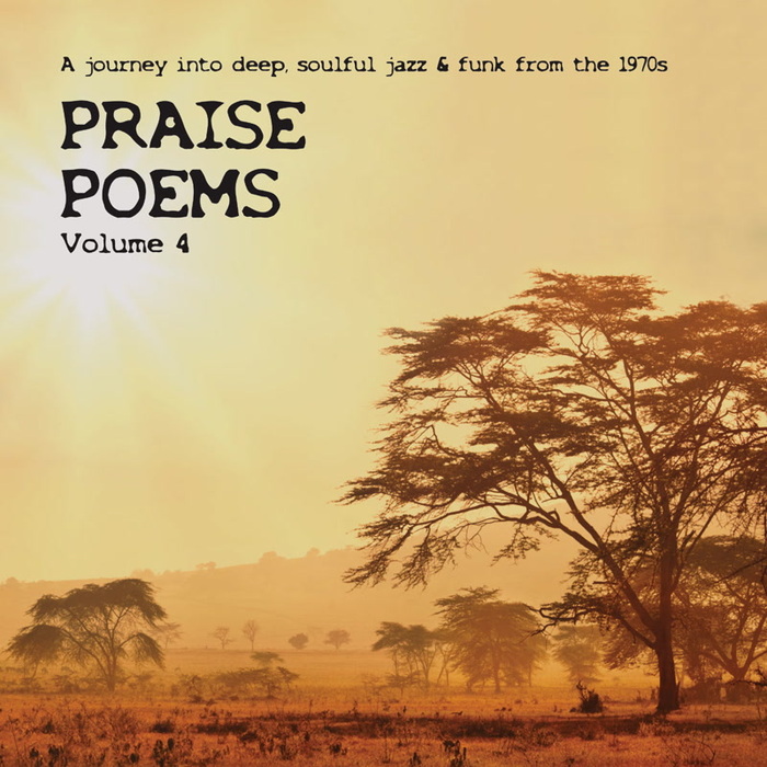 VARIOUS - Praise Poems Vol 4