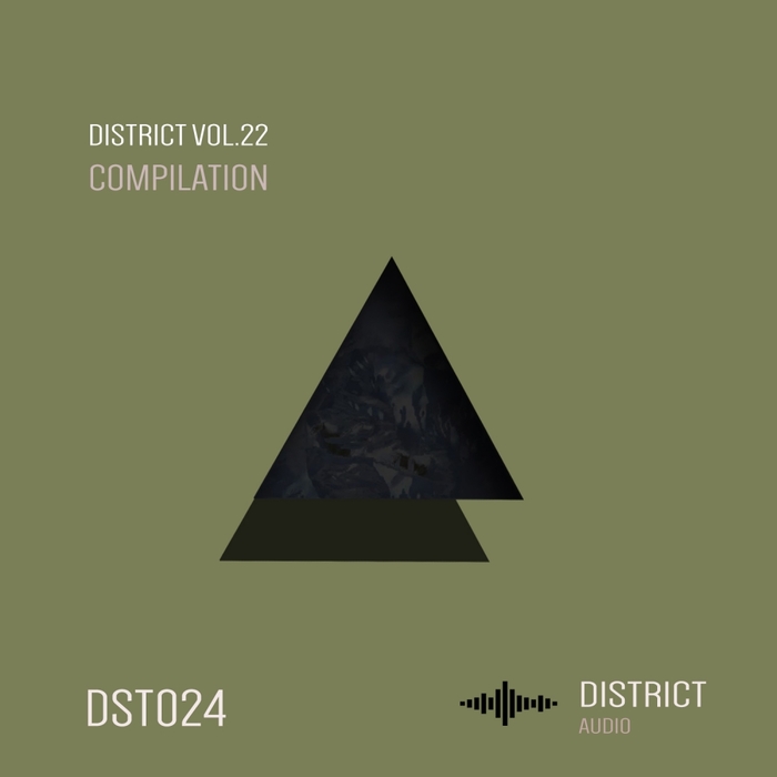 VARIOUS - District 22