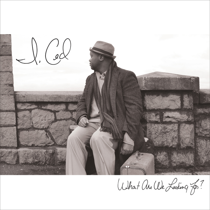 CED/I - What Are We Looking For?