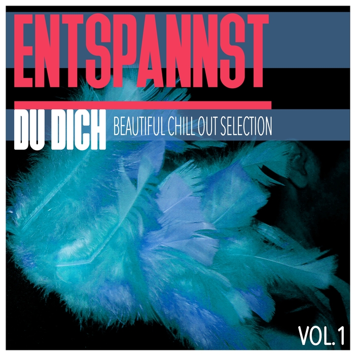 VARIOUS - Entspannst Du Dich Vol 1/Beautiful Chill Out Selection