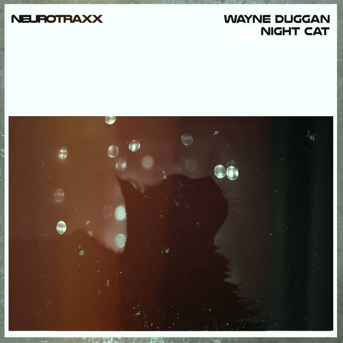 WAYNE DUGGAN - Night Cat