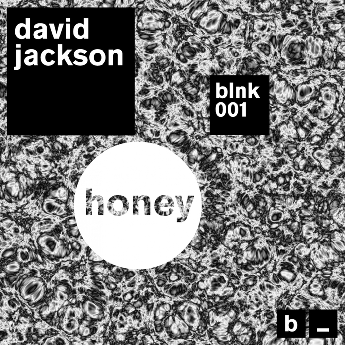 DAVID JACKSON - Honey