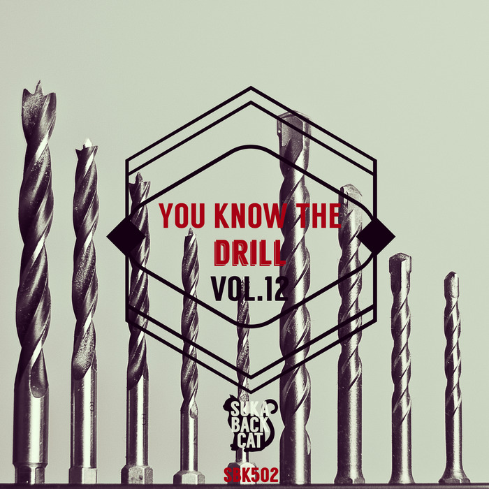 VARIOUS - You Know The Drill Vol 12