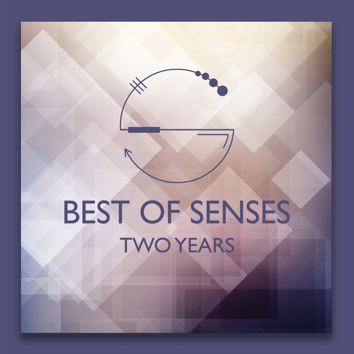 VARIOUS - Best Of Senses Two Years