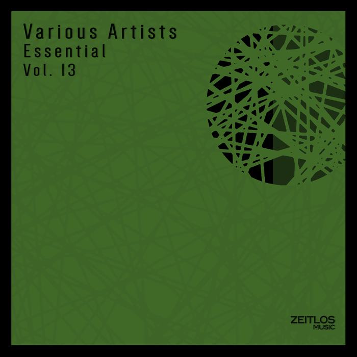 VARIOUS - Essential Vol 13