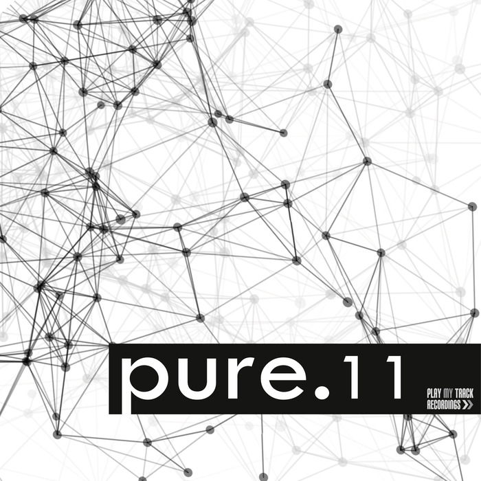 VARIOUS - Pure 11