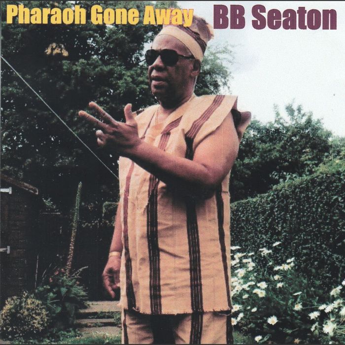 BB SEATON/CONSCIOUS MINDS - Pharaoh Gone Away