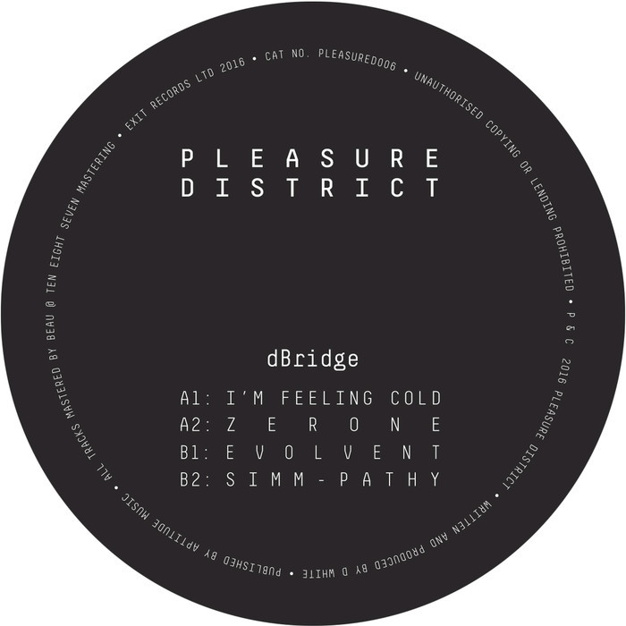 DBRIDGE - Pleasure District 006