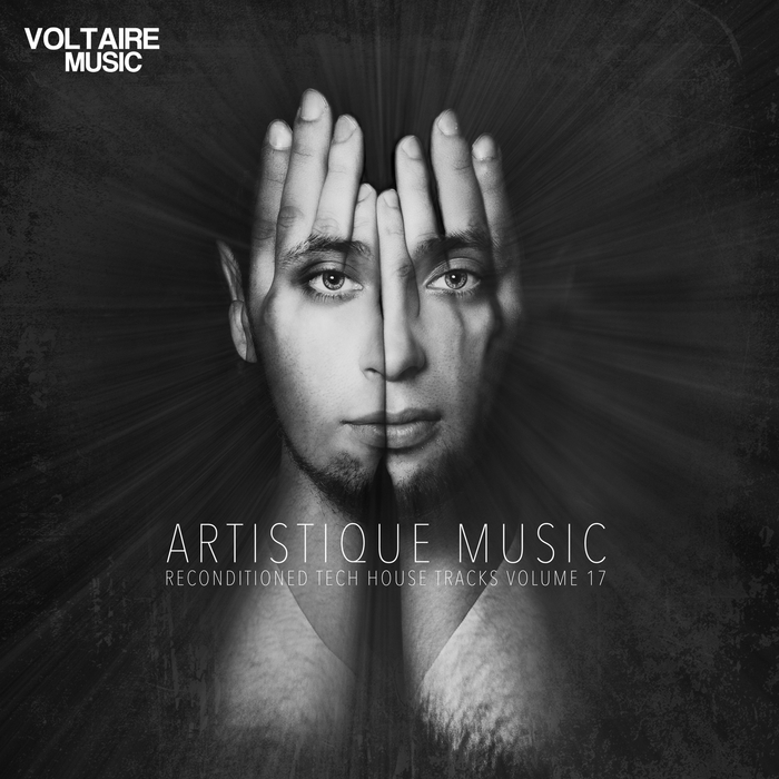 VARIOUS - Artistique Music Vol 17