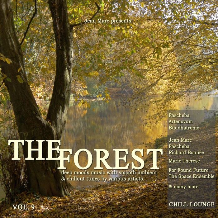 VARIOUS - The Forest Chill Lounge Vol 9 (Deep Moods Music With Smooth Ambient & Chillout Tunes)
